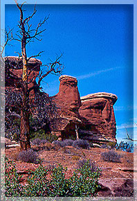 The Needles - Canyonlands Nat'l. Park